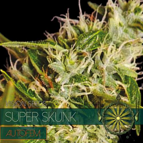 SUPER SKUNK – AUTOFEM VISION SEEDS