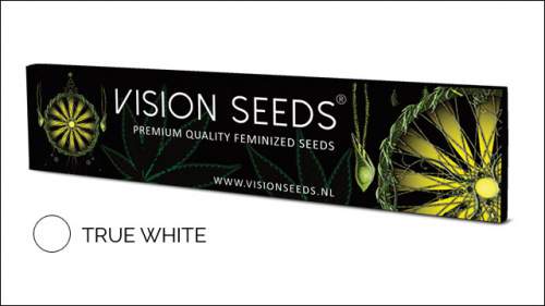Vision True White Rolling Papers