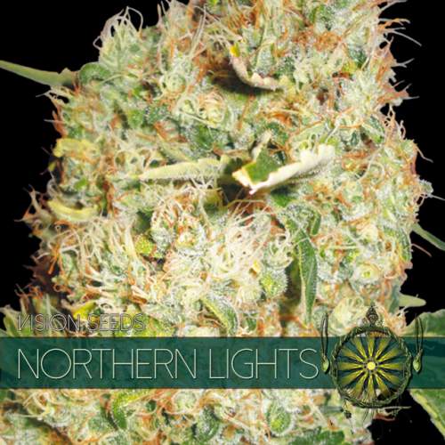 NORTHERN LIGHTS VISION SEEDS