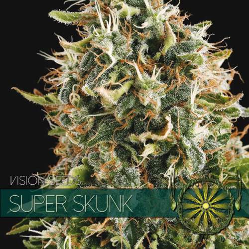 SUPER SKUNK VISION SEEDS