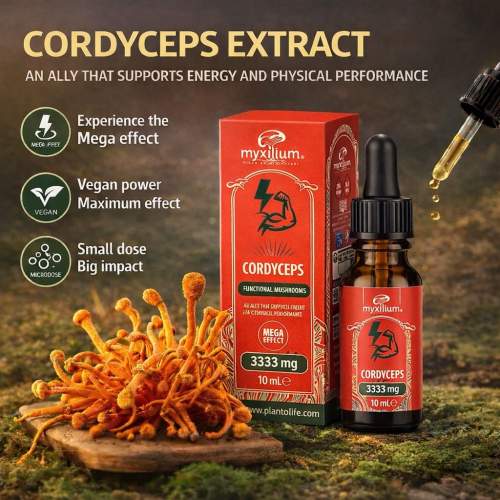 MYXILLUIM Cordyceps Mushroom Extract 10 ml